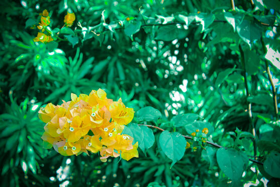 f/5.6, ISO-100, 55 mm, 1/100 sec