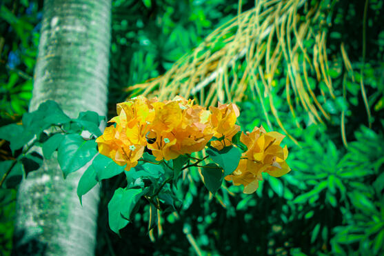 f/5.6, ISO-100, 55 mm, 1/200 sec