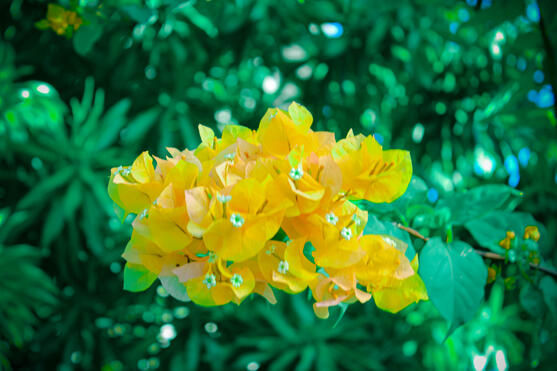 f/5.6, ISO-160, 55 mm, 1/80 sec